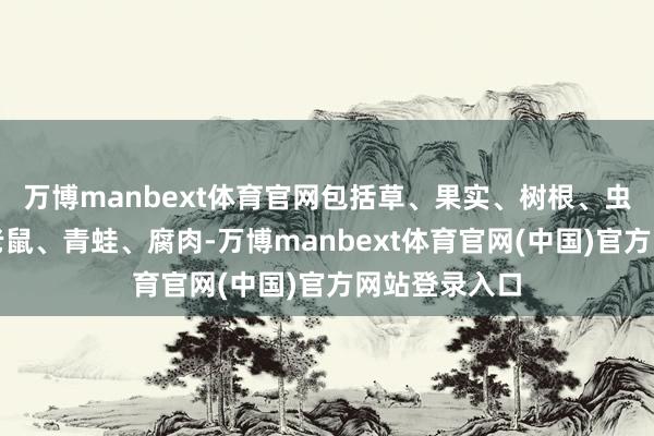 万博manbext体育官网包括草、果实、树根、虫豸、鸟蛋、老鼠、青蛙、腐肉-万博manbext体育官网(中国)官方网站登录入口