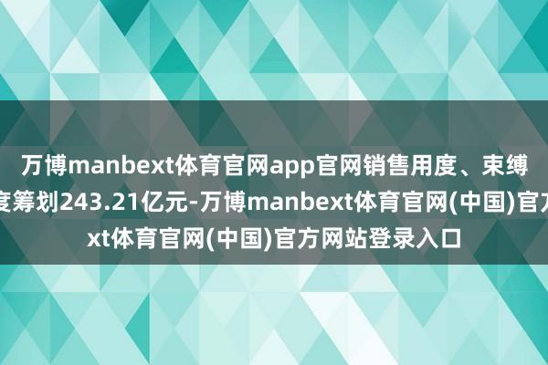 万博manbext体育官网app官网销售用度、束缚用度、财务用度筹划243.21亿元-万博manbext体育官网(中国)官方网站登录入口