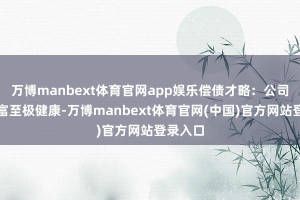 万博manbext体育官网app娱乐偿债才略：公司现款财富至极健康-万博manbext体育官网(中国)官方网站登录入口
